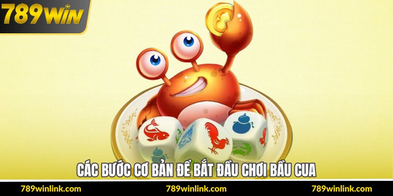 Các bước cơ bản để bắt đầu chơi bầu cua