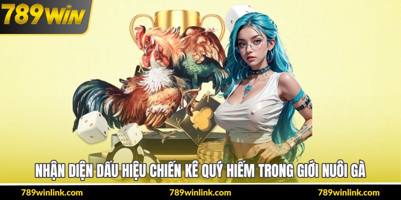 Nhận diện dấu hiệu chiến kê quý hiếm trong giới nuôi gà
