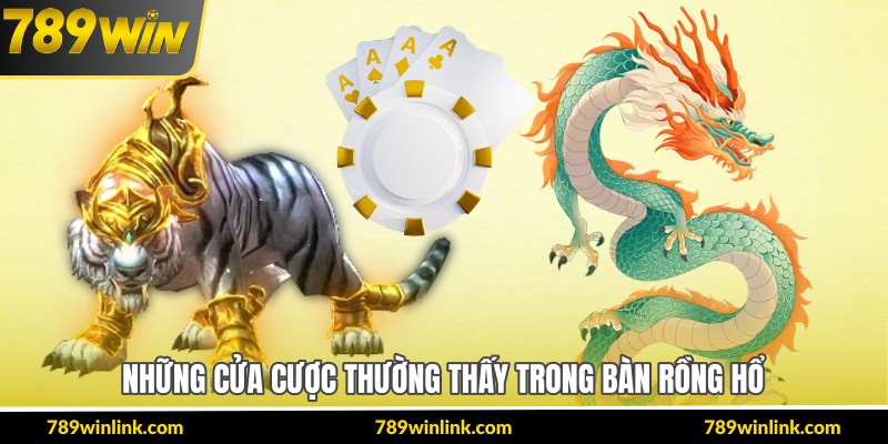 Những cửa cược thường thấy trong bàn rồng hổ