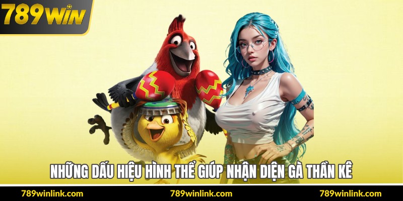 Những dấu hiệu hình thể giúp nhận diện gà thần kê