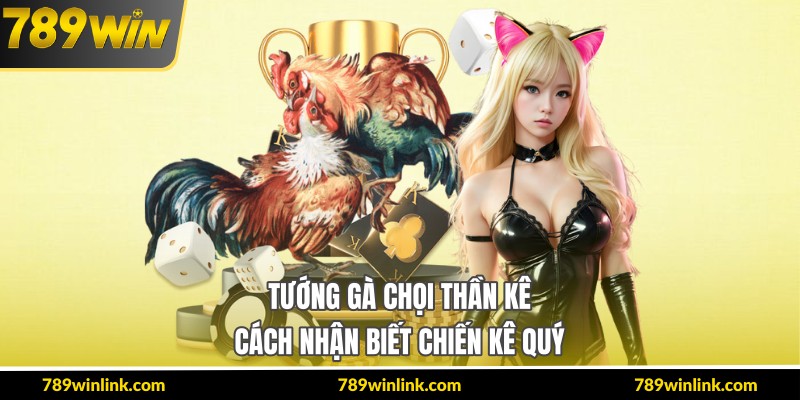 Tướng Gà Chọi Thần Kê – Cách Nhận Biết Chiến Kê Quý